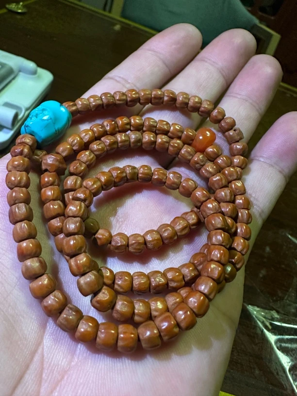 四江答桑苍老柏香籽