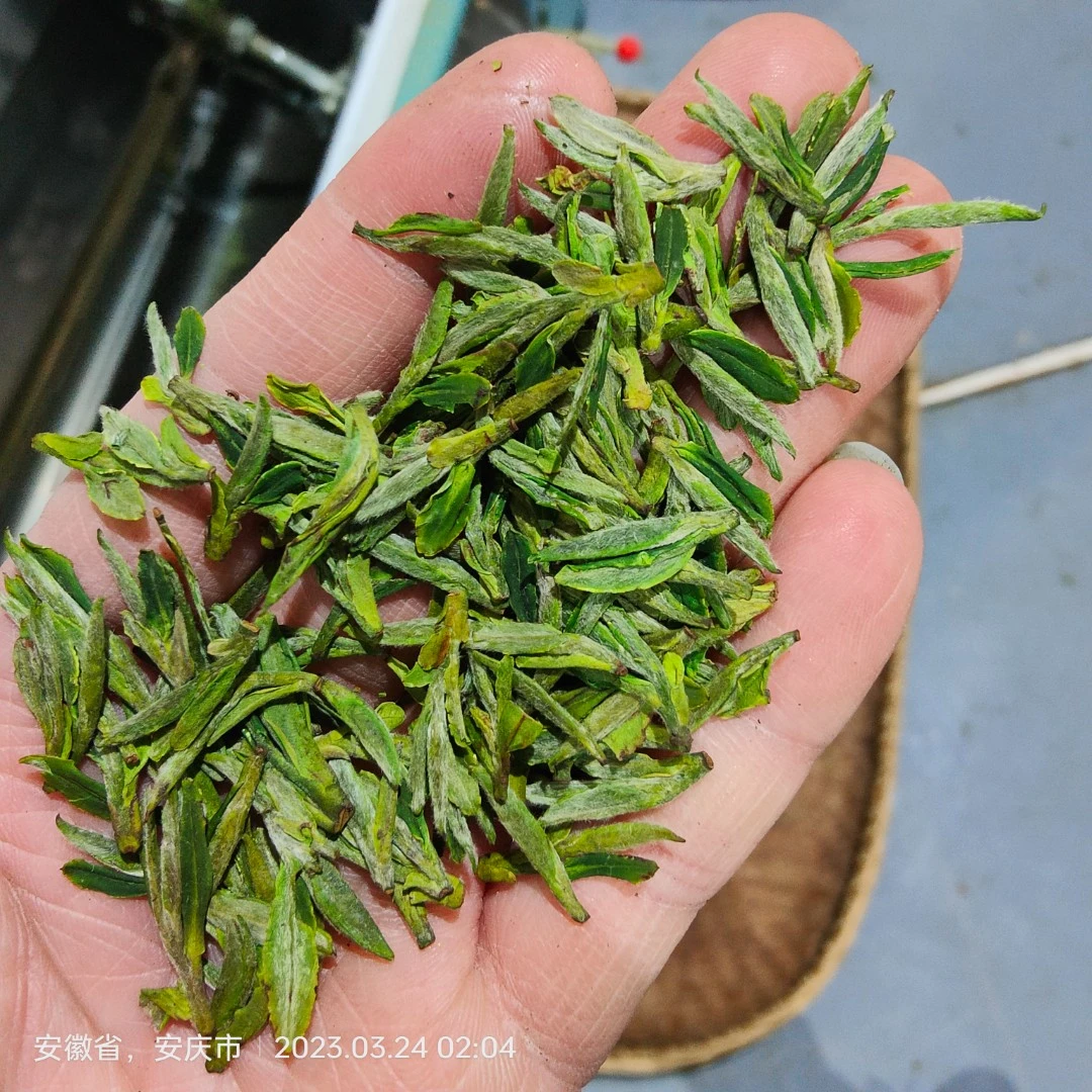 天柱茶礼《小元助农》天柱剑毫明前特级甄选100克罐装