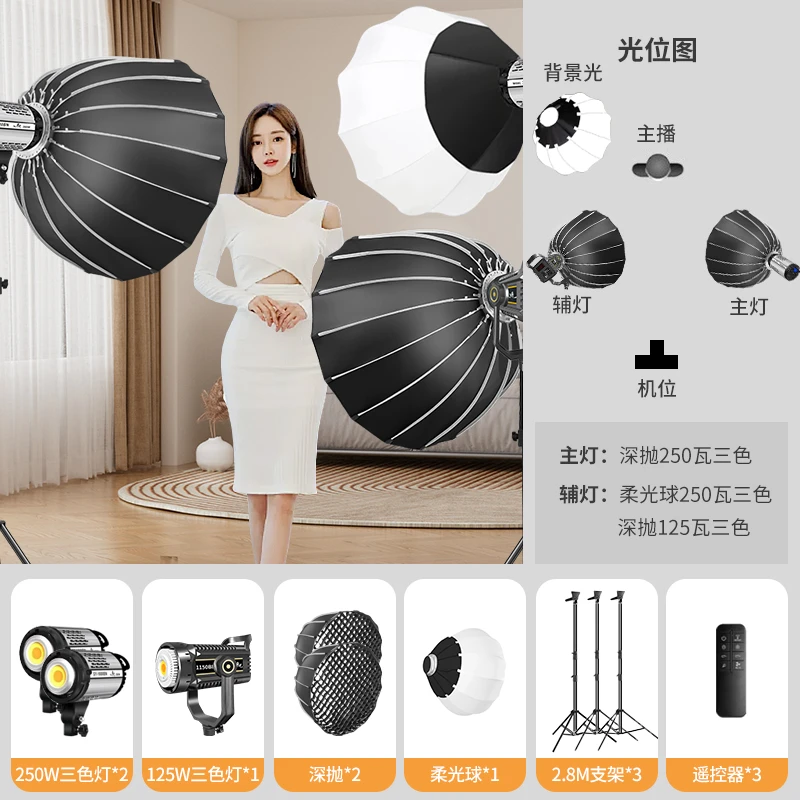 舜艺实标250瓦直播补光灯球形柔光拍照专业级深口抛物箱网格栅灯