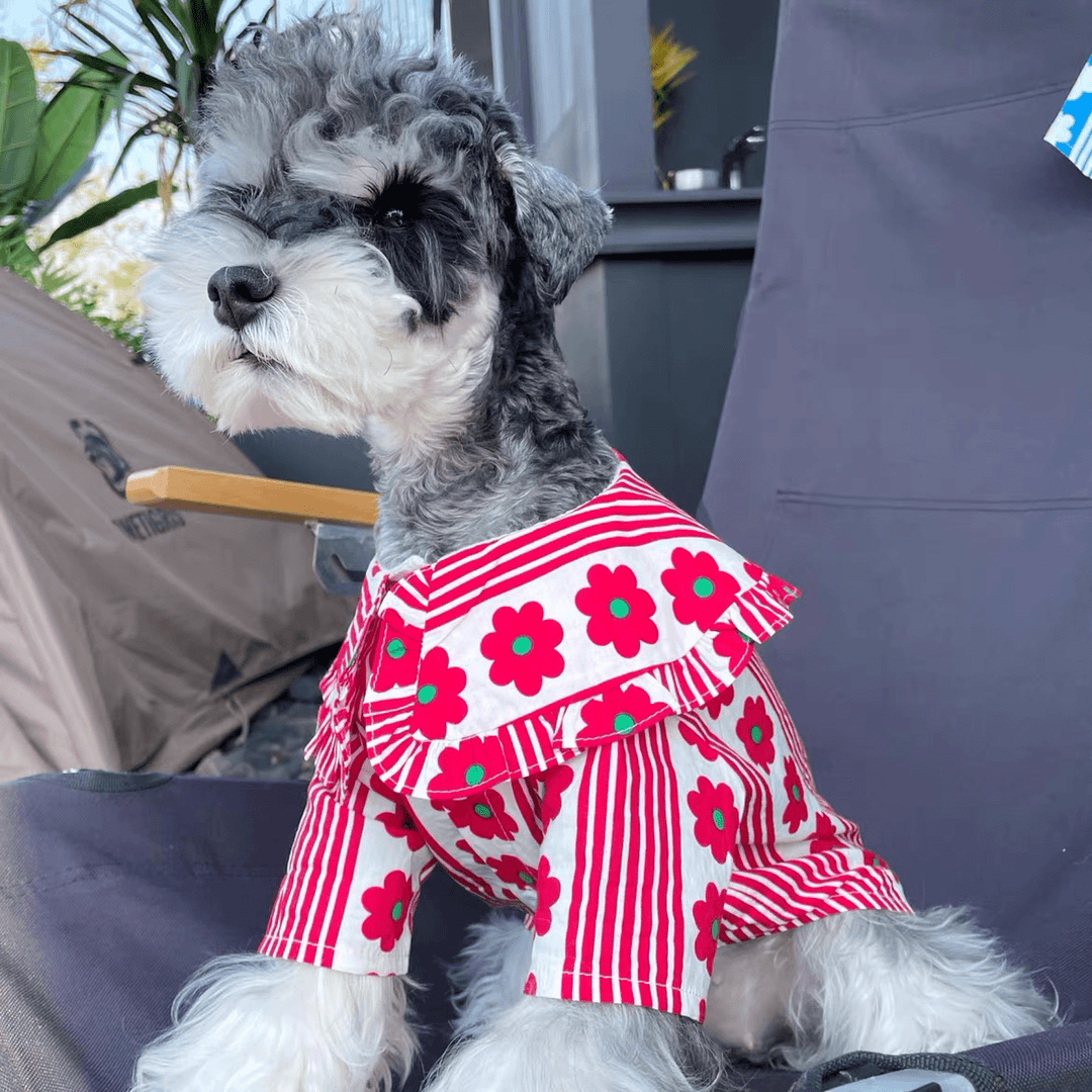 屁桃狗狗衣服夏季薄款衬衫雪纳瑞比熊柴犬西高地泰迪博美透气可爱