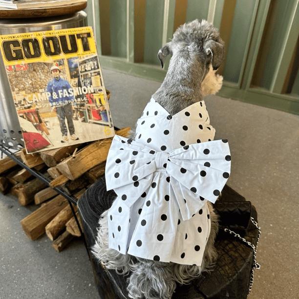 屁桃狗狗衣服夏季薄款法斗雪纳瑞比熊泰迪柴犬西高地宠物透气背心