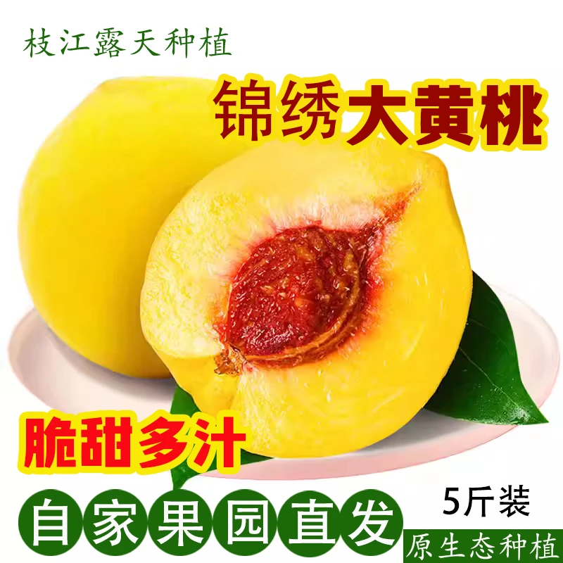 安福寺锦绣黄桃肉厚多汁香甜爽口农家自种水果产地直发5斤装包邮