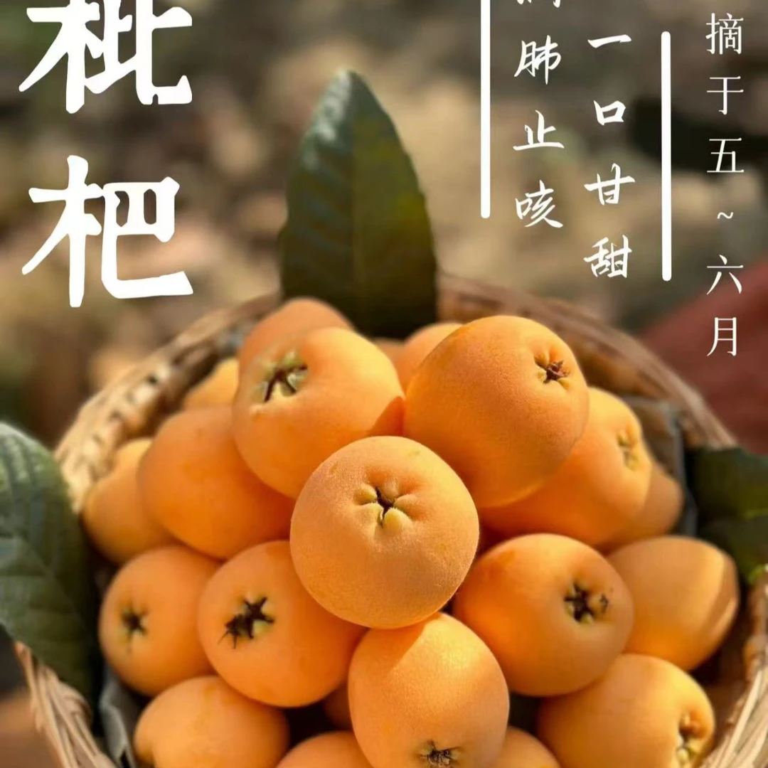 【顺丰包邮】枇杷 一斤装散装