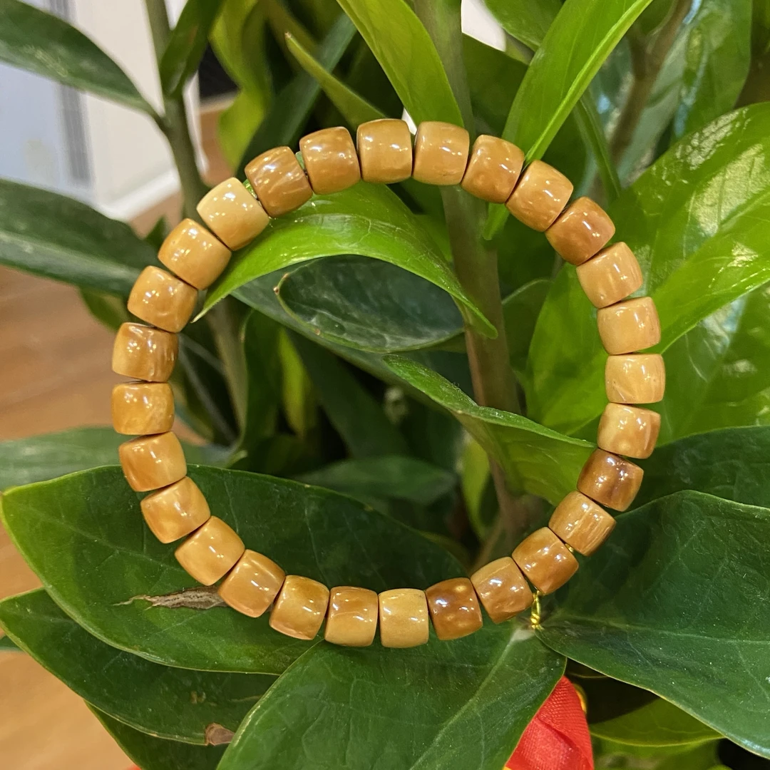 黄金库克实心直切8+7mm