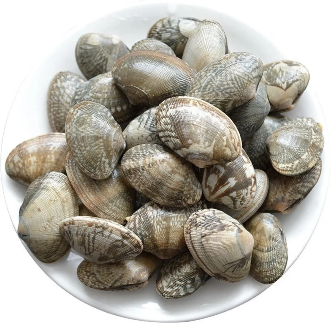 鲜活大花蛤 500g/份