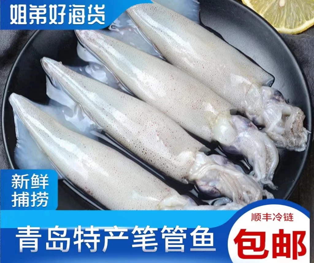 3盒净重3斤【每斤16只左右】青岛笔管鱼海兔鲜货速冻少量带籽冷链