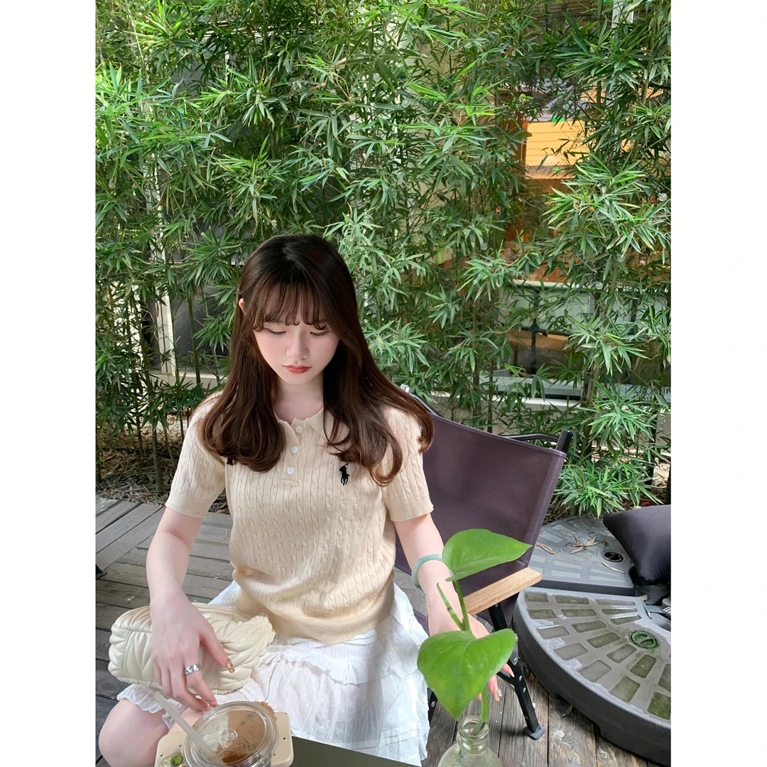 ins风小马刺绣短袖polo领灰色针织衫女春夏复古麻花百搭小衫上衣