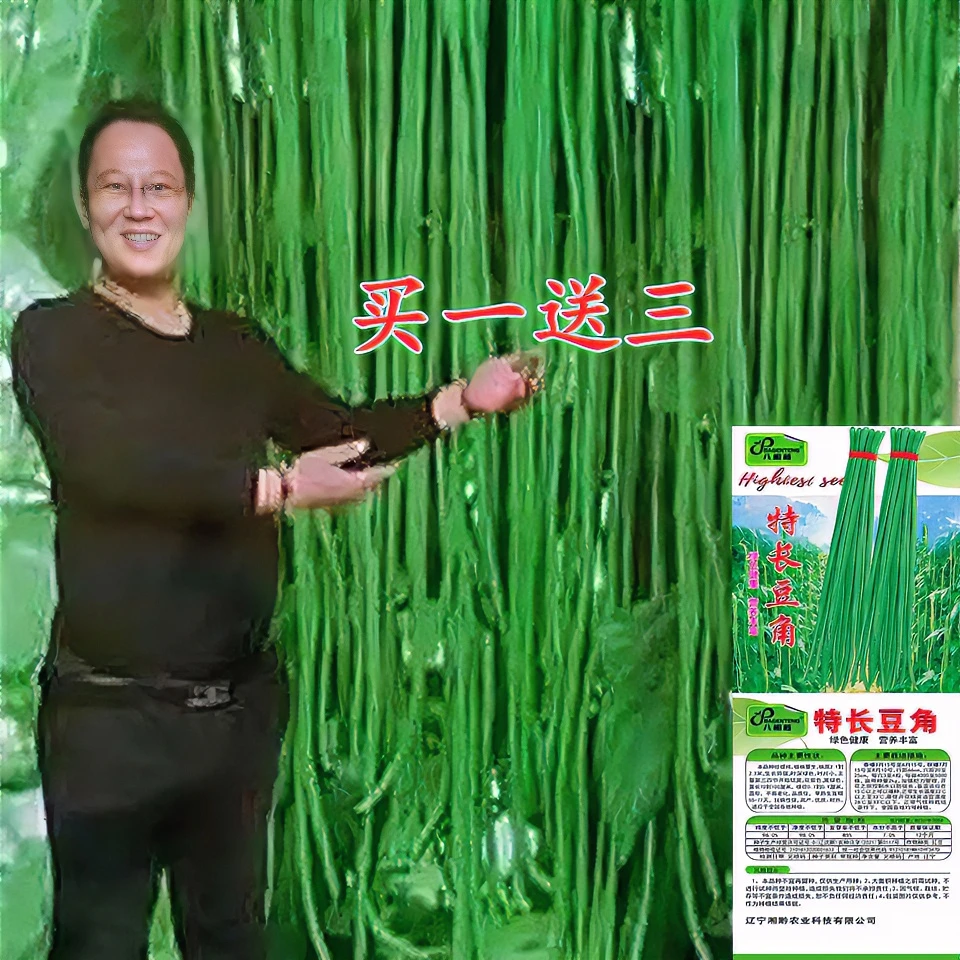 特长绿先锋豆角种子绿条豇豆翠绿色长豆角大棚露天基地蔬菜种子