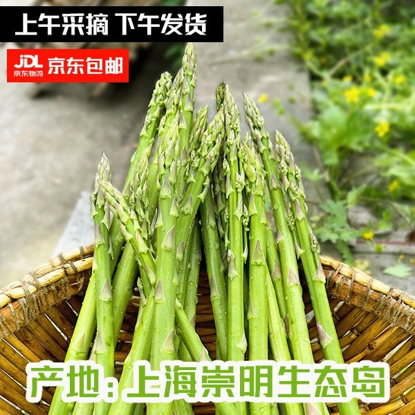 大芦笋上海崇明发货新鲜绿芦笋现采现发，鲜嫩，不泡水，脆嫩爽口