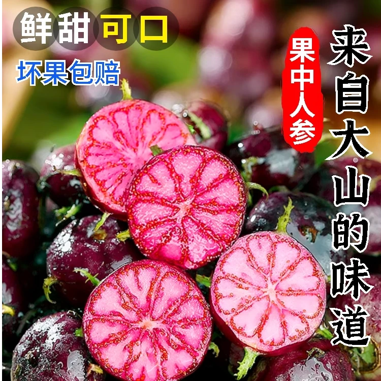 【顺丰锁鲜】心巴 云南高原红果参新鲜水果当季蜘蛛果现摘包邮珍惜