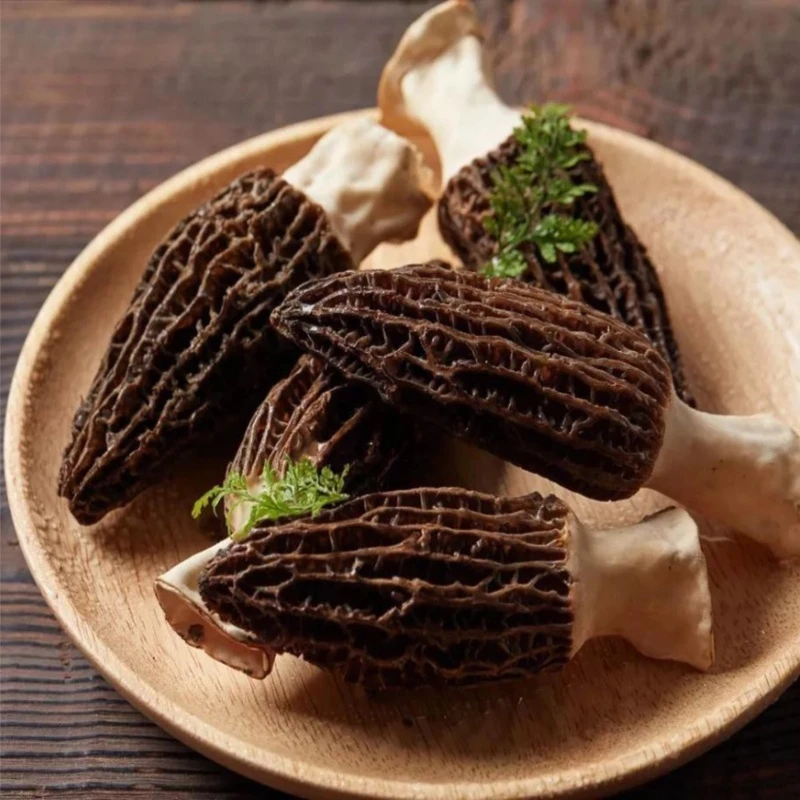 深山羊肚菌 滋补干货 营养丰富香味浓郁 老少皆宜适合长期食用