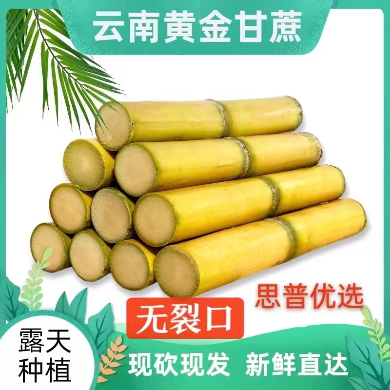 云南黄皮甘蔗9斤净重，农家自己种植精选中段皮薄新鲜脆甜多汁