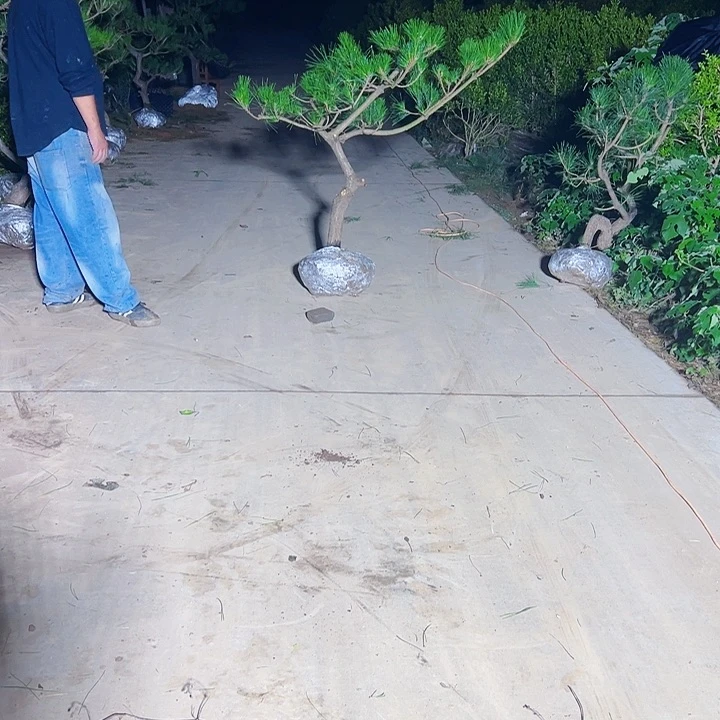 @***己88888888888888