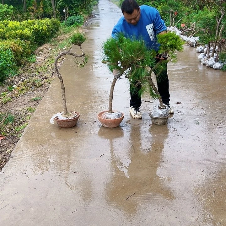 星**越888888888888888