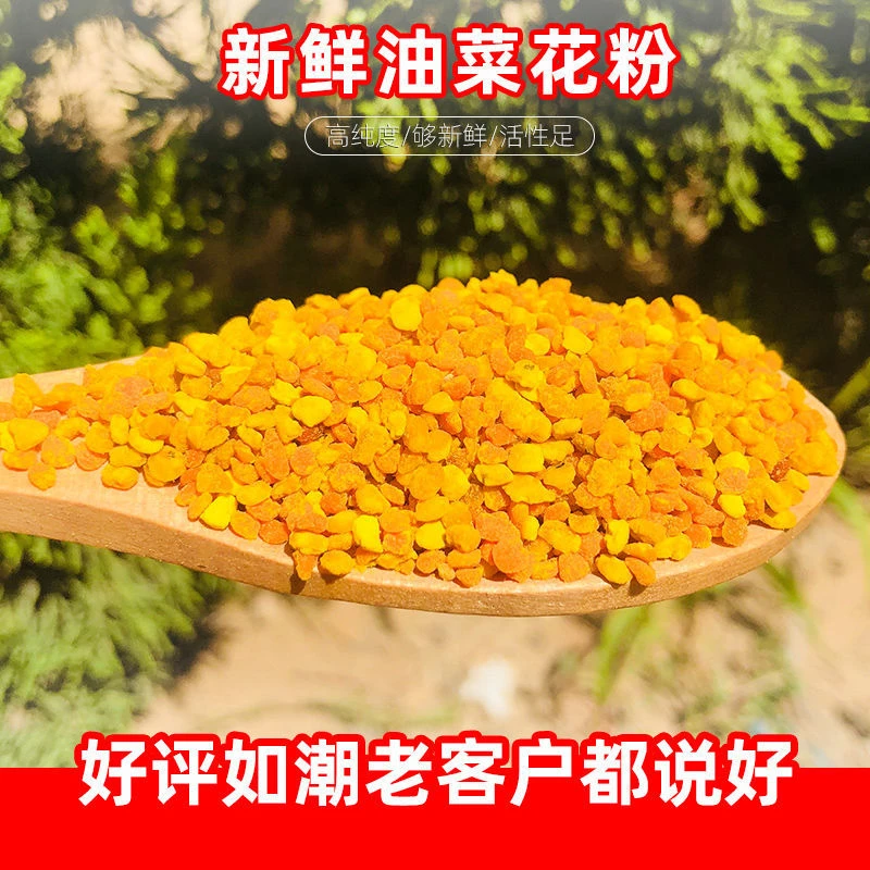 养蜂花粉包邮蜜蜂饲料喂蜂正品油菜杂粉颗粒状蜂粮养蜂中意蜂专用