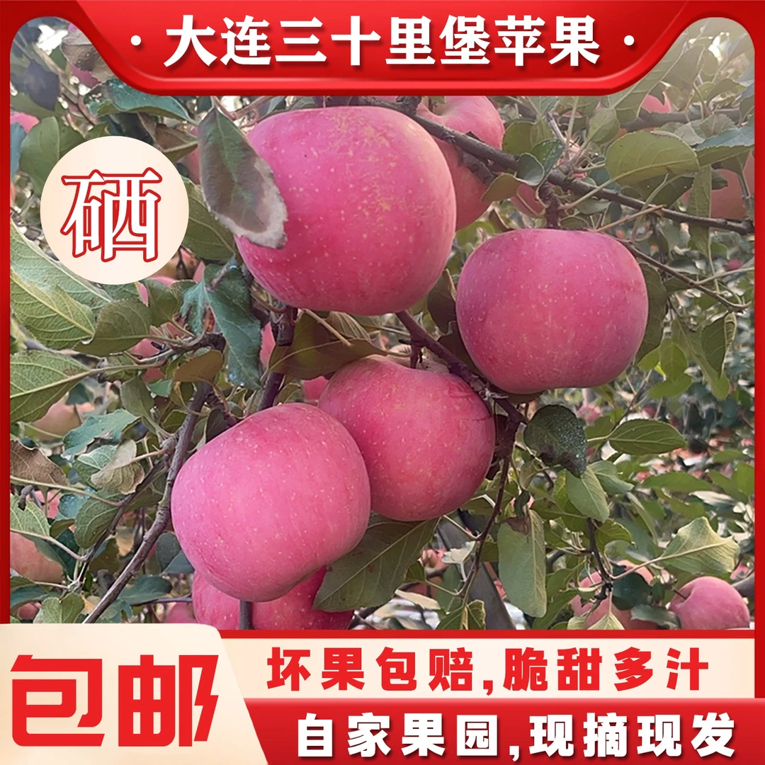 5斤 大连三十里堡森宝富硒红富士80～84mm