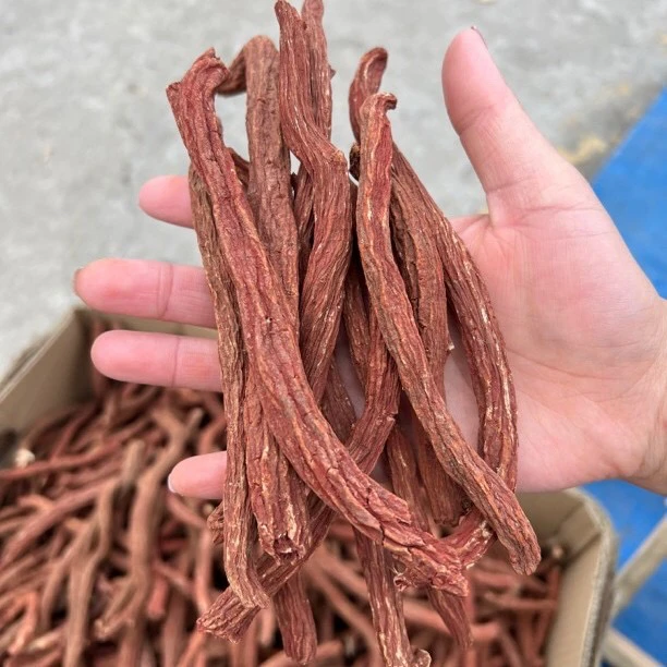 长白山 丹参 紫皮丹参 整条丹参可打粉可切片