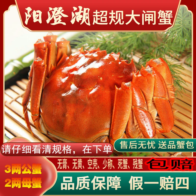 【活蟹】阳澄湖大闸蟹 3两公蟹2两母蟹3对6只 活水塘养 礼盒装