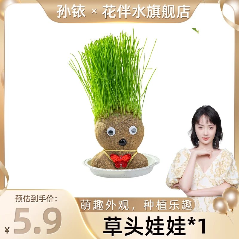 【铱家人专属 】花伴水创意绿植草头娃娃 园艺创意绿植趣味