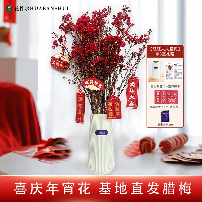 【彩虹夫妇专享】花伴水澳洲腊梅精选年宵花插花鲜切花云南基地直发