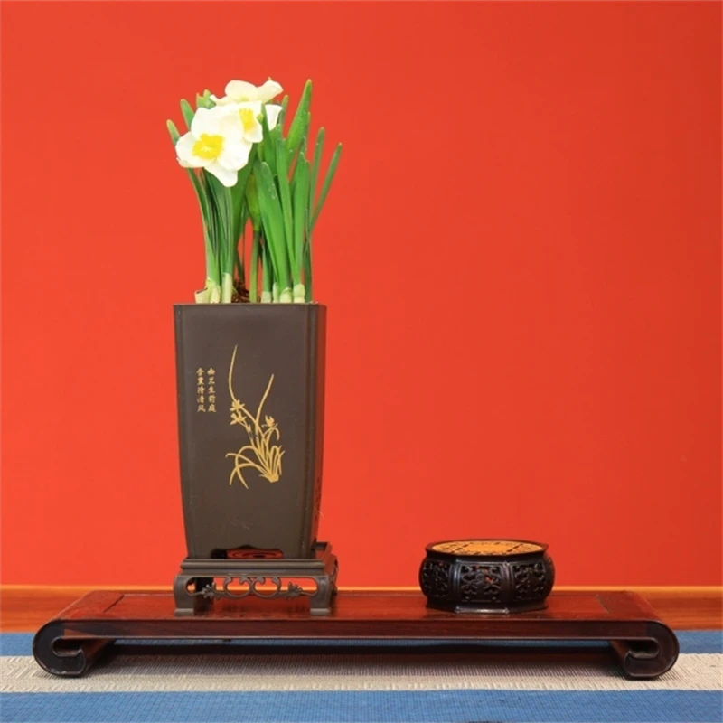 【花伴水】水仙花桌面盆栽