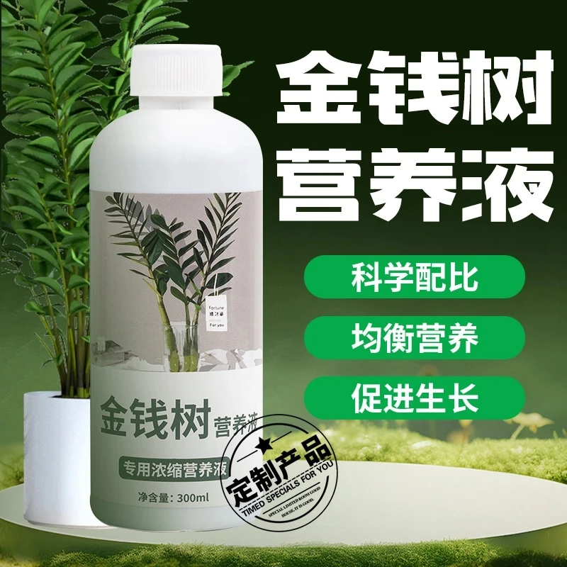 金钱树叶子枯黄掉叶专用营养液发财树肥料专用肥防黄叶落叶烂根