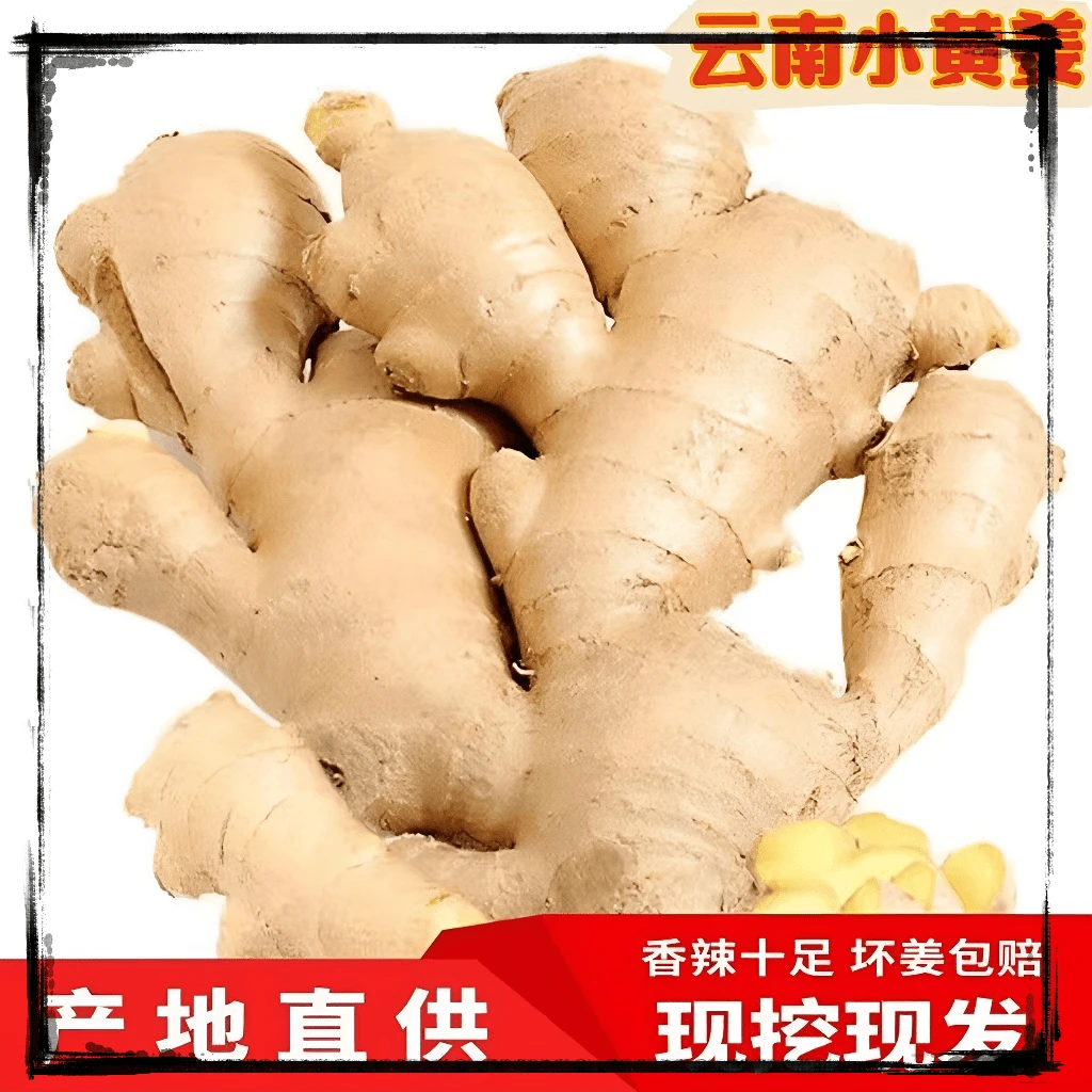 【农家精选】云南曲靖高山正宗姜小黄姜味浓郁辛辣十足0.5-5斤新姜