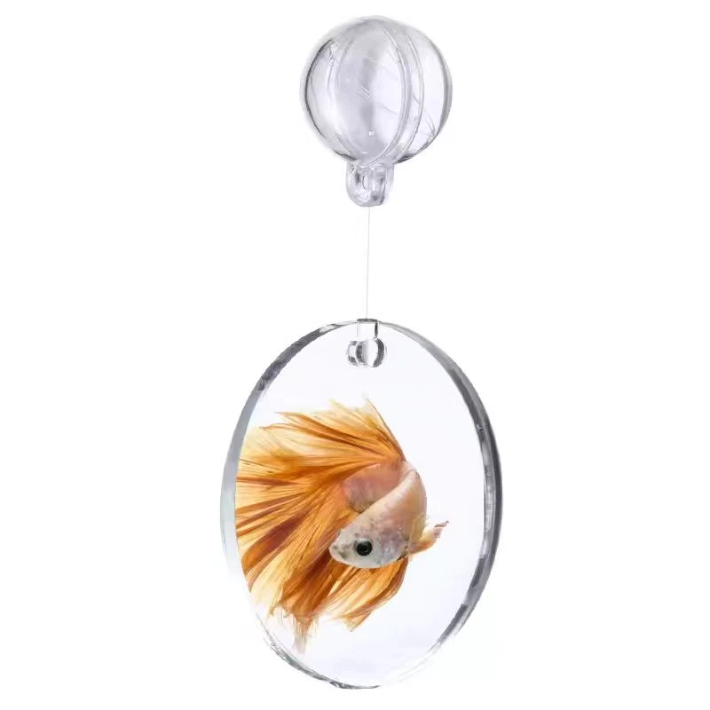 泰国斗鱼棒互动镜子水中镜双面防水培养改善斗鱼习性