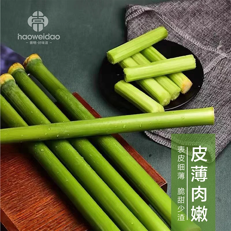 崇明新鲜甜芦粟芦稷甜高粱杆水果5-10斤甜杆脆嫩全程冷链包装甘蔗