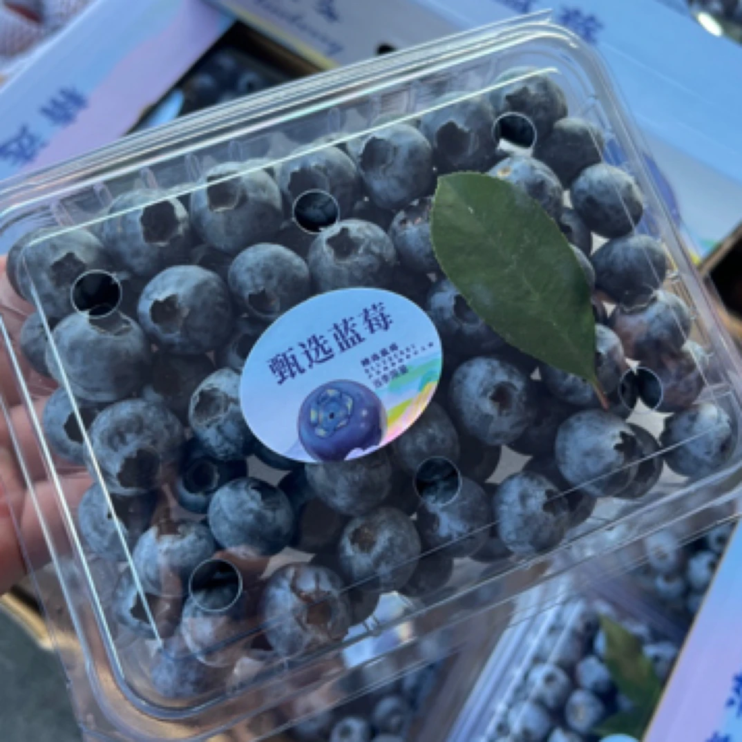 【顺丰包邮】 甄选精品蓝莓 18+大果 9甜1酸 250g/盒