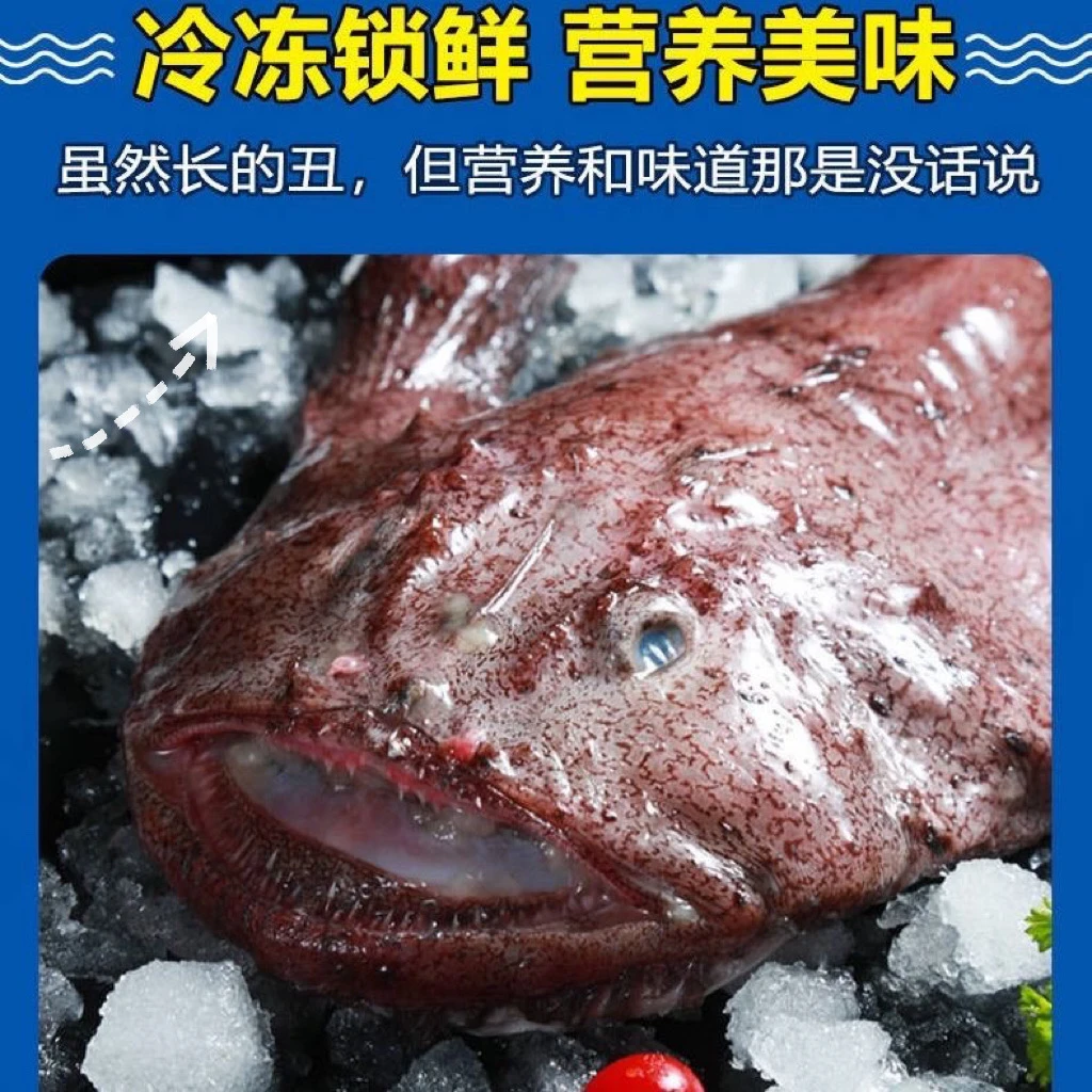 安康鱼整鱼野生海鱼（发5斤）