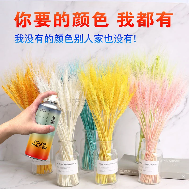 黄金色麦穗喷漆DIY小麦插花永生花改色喷漆涂鸦diy粉色蓝色艺术漆