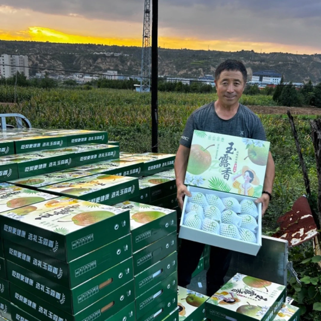 皮薄酥脆无渣当季新鲜采摘新鲜水果正宗山西隰县玉露香梨