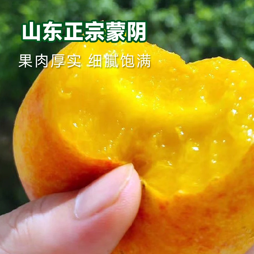 油蟠7油蟠桃中大果蒙阴蜜桃软甜好吃脆口3/4.5斤装包邮