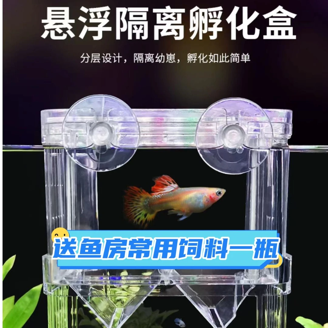 小型鱼缸隔离盒简单透明组合孵化盒中小型孵化盒观赏鱼饲养繁殖盒