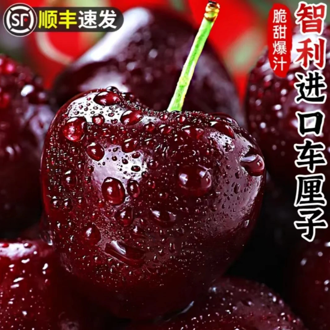 【韩美丽2JD专属】小金龙智利拉宾斯海运车厘子原箱5斤 内附果径卡