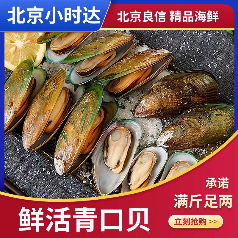 一斤新西兰青口贝