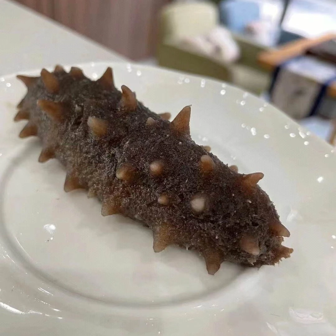 海参 天然辽宁大连即食刺参 规格可选