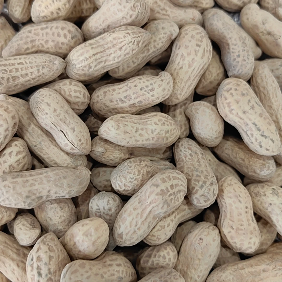 新货带皮香甜花生小颗粒烘焙花生仁薄皮新鲜风味土花生