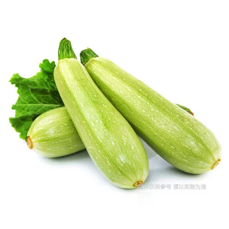 西葫芦 一根 约300g-350g
