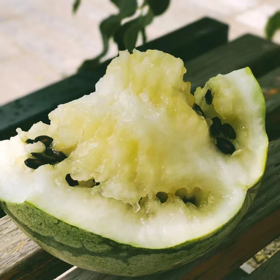 景泰籽瓜砂地籽瓜大瓜子农家种植温性籽瓜适合老人孕妇小孩