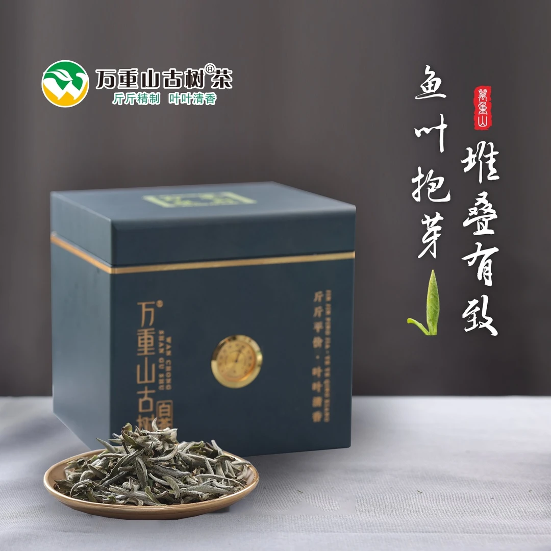 万重山古树头采白毫银针580