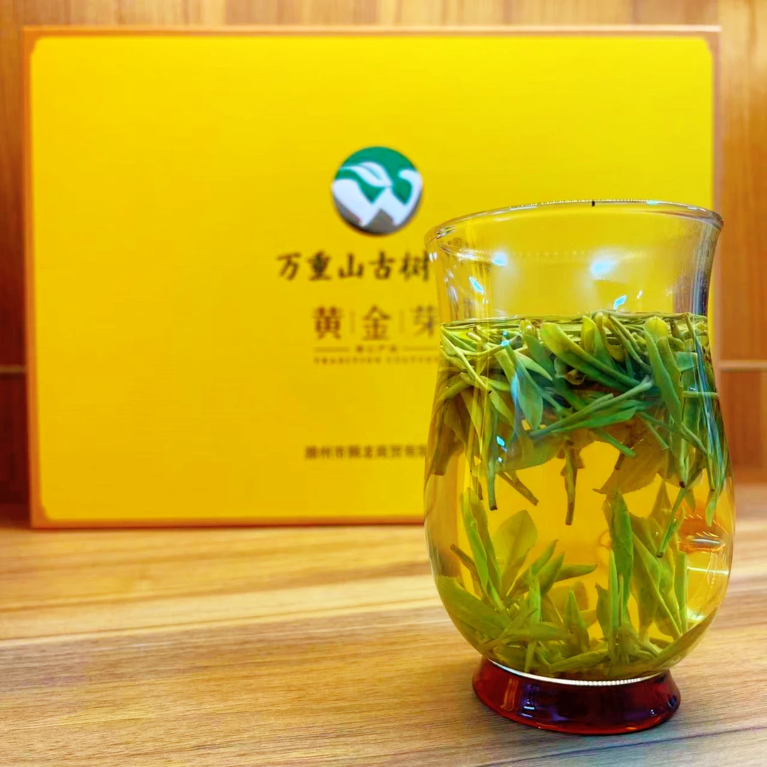 万重山古树380凤尾黄金芽干茶形似凤羽/鲜叶金黄/口感馥郁鲜甜