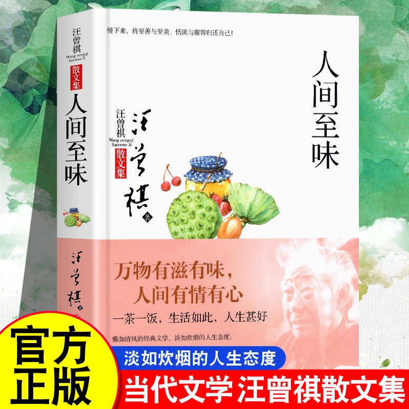 人间至味 汪曾祺散文随笔集中国当代文学随笔集短篇小说精选全集