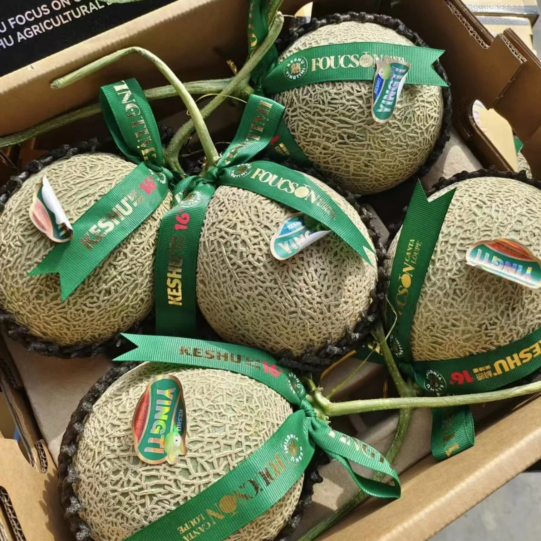 （同城配送）网文冰激凌瓜一个3.8-4.8斤