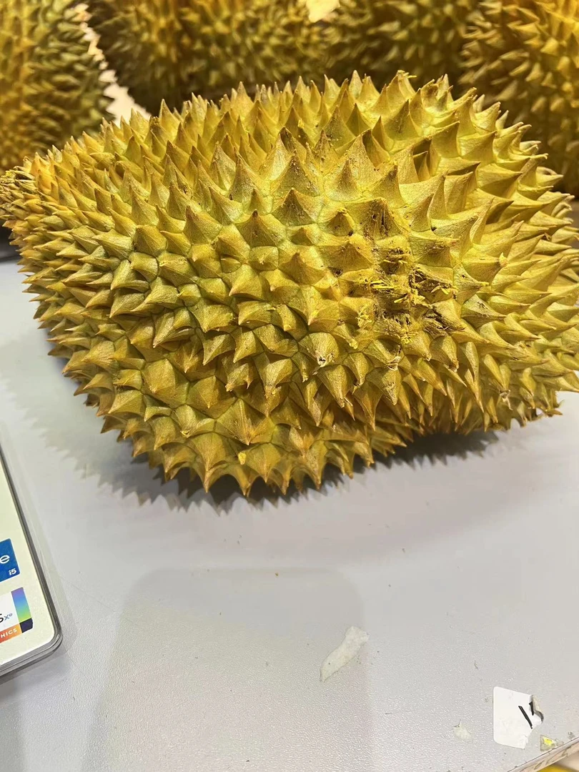AB树上熟金枕榴莲  36.9/斤（保熟包甜保4-5房肉）