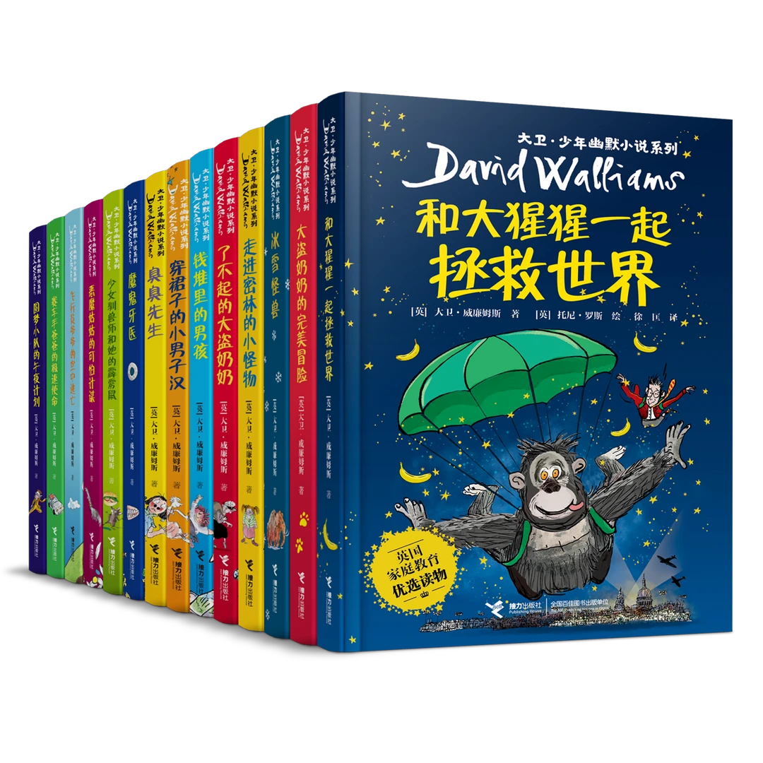 大卫·少年幽默小说系列（全14册）