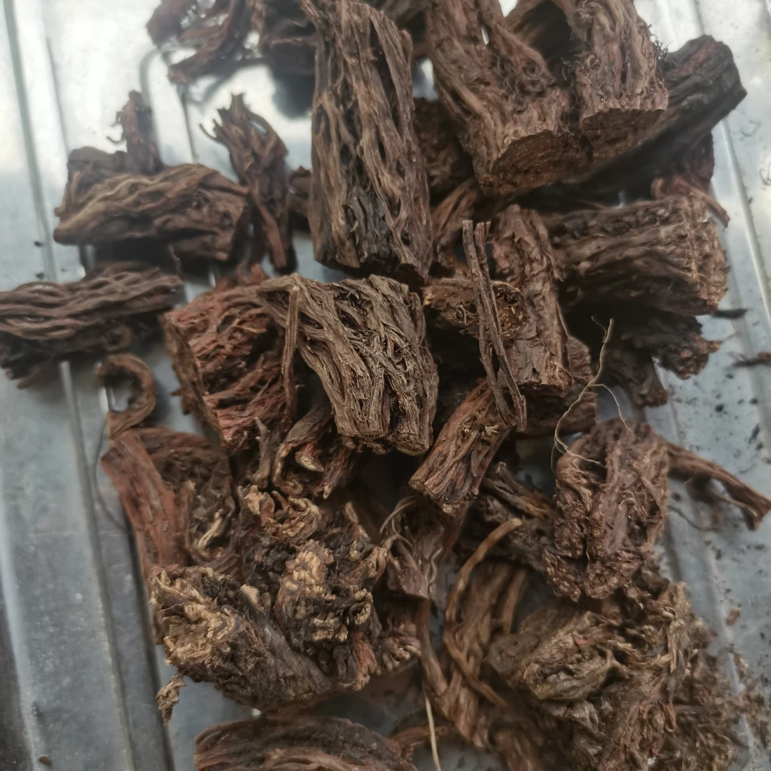 甘肃岷县多年生丹参