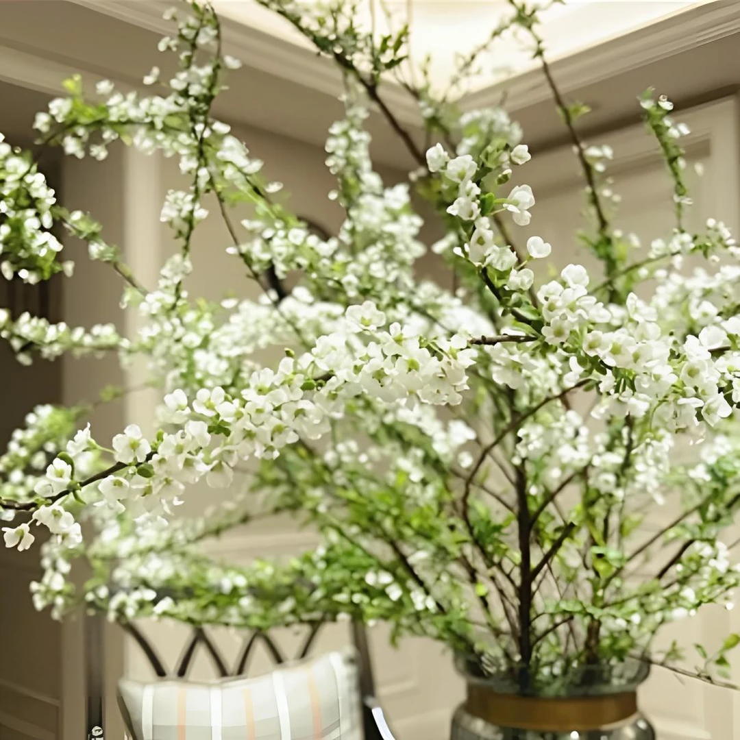 【年宵花】冬日里的浪漫枯木逢春雪柳开花云南基地鲜花直发