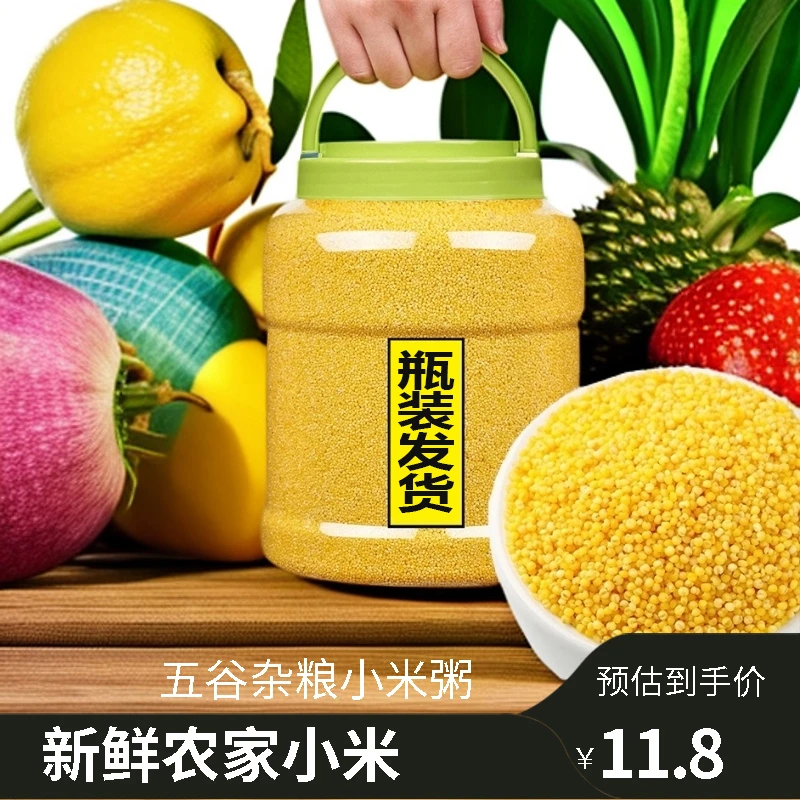 2024年农家新鲜小米正宗颗粒营养饱满制品小黄米高蛋白小米 罐装